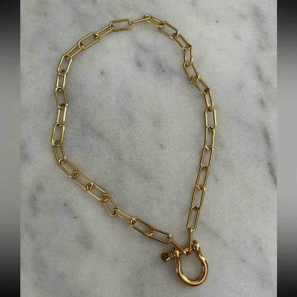 COPY - Gold Carabiner Clasp Charm Chain Link Necklace
Brand New - Picture 2 of 4
